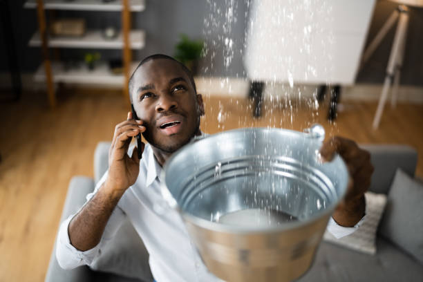 Best Ceiling water damage repair  in Blue Point, NY