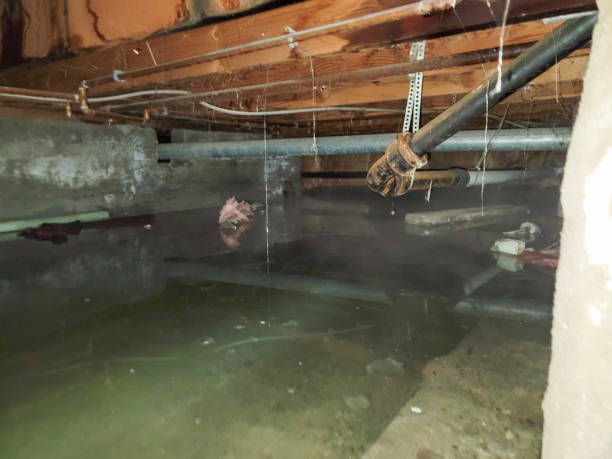 Best Emergency water damage restoration  in Blue Point, NY