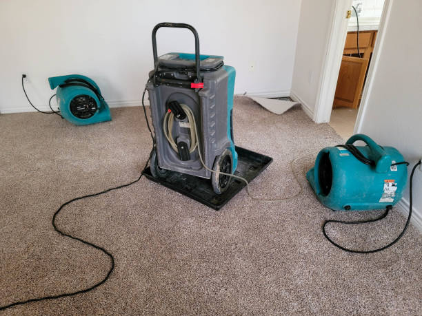 Best Water damage restoration near me  in Blue Point, NY