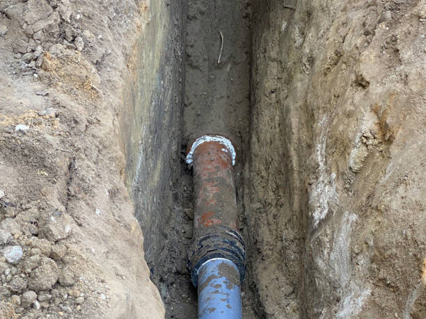 Best Flood restoration services  in Blue Point, NY