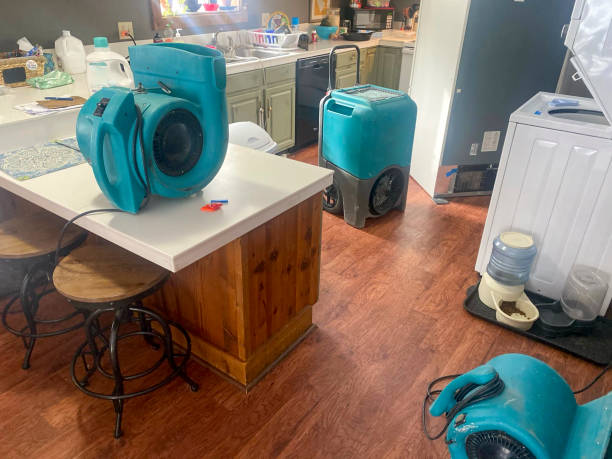 Best Carpet water damage restoration  in Blue Point, NY
