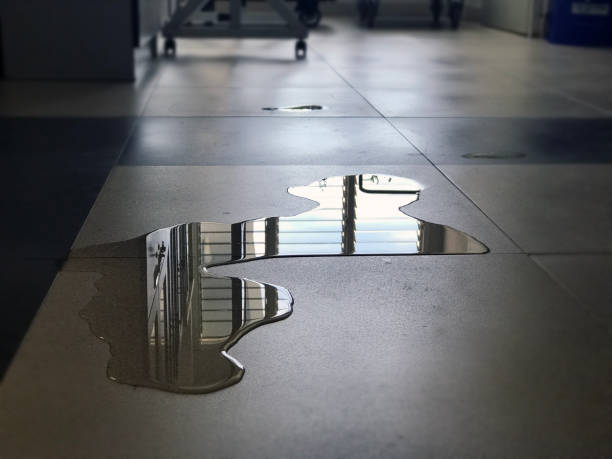 Best Commercial water damage restoration  in Blue Point, NY