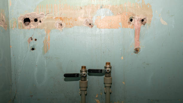 Best Sewage cleanup and water damage restoration  in Blue Point, NY