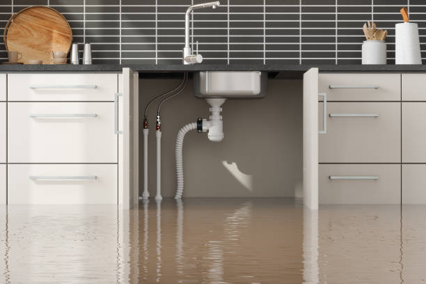 Best Water damage restoration near me  in Blue Point, NY