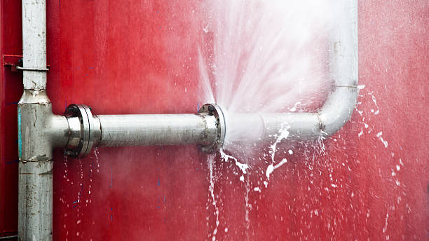 Best Mold removal after water damage  in Blue Point, NY